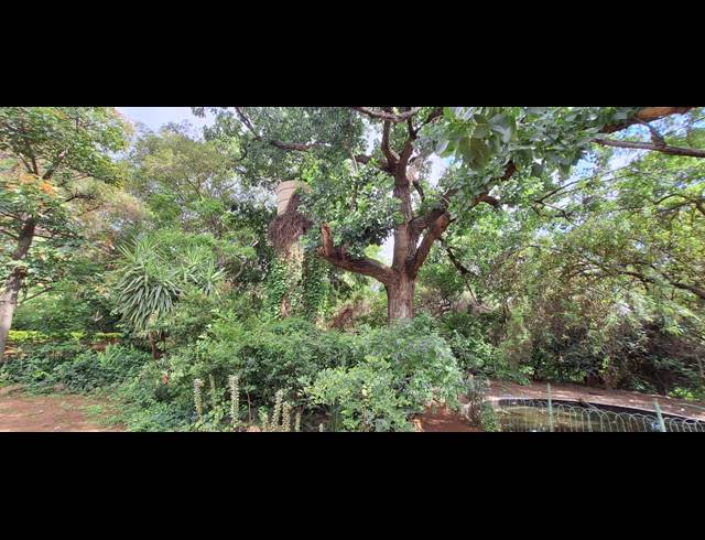8.50HA SMALLHOLDING FOR SALE IN RUSTENBURG RURAL